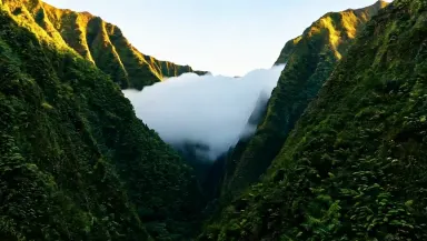 Track the camera alongside the valley wall at a steady lateral pace while the cloud mass billows inward, thickens to an opaqu