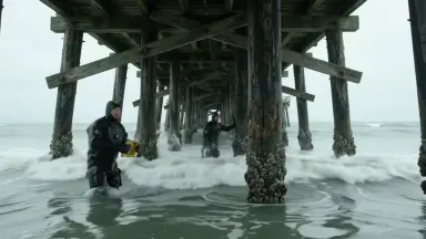Workers in drysuits repairing a storm-damaged timber pier from beneath, waves surging and retreating between barnacled piles 