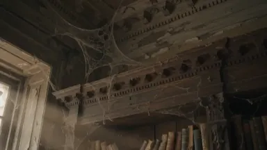 Wooden bookshelves warped by decades of humidity fill an abandoned colonial-era plantation house library, crane down from cob