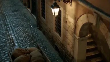 Night-soil cart horse standing motionless at a cobblestone crossroads in a Sarajevo old quarter while its owner hauls sacks u