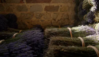 Compressed bales of dried lavender stacked floor to ceiling in a stone distillery barn, a single shaft of dusty light crossin