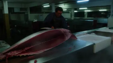 Fishmonger splitting a massive bluefin tuna on a stainless counter with a single long yanagiba blade in a bright market hall.