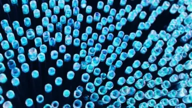 Cross-section of a dense bundle of optical fibre strands fills the frame, each glowing core pulsing at a slightly different i